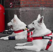 wir m&uuml;ssen drau&szlig;en warten